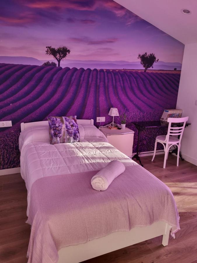 La Pedrosa Casa Rural Camarzana de Tera Εξωτερικό φωτογραφία